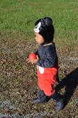 Enlarge photo 37