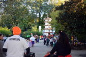 Enlarge photo 45