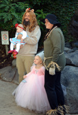 Enlarge photo 51