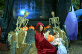 Enlarge photo 81