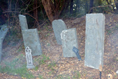 Enlarge photo 83