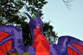 Enlarge photo 91