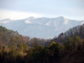 Enlarge photo 48