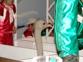 Enlarge photo 33