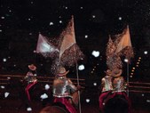 Enlarge photo 22