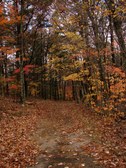 Enlarge photo 75