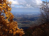 Enlarge photo 72