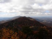 Enlarge photo 73