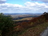Enlarge photo 54