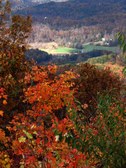 Enlarge photo 53