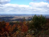 Enlarge photo 48