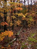 Enlarge photo 30