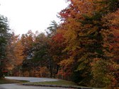Enlarge photo 29