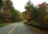 Enlarge photo 28