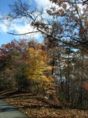 Enlarge photo 26