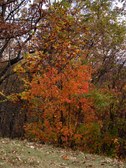 Enlarge photo 25