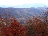 Enlarge photo 79