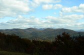 Enlarge photo 77