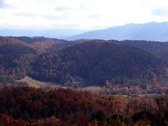Enlarge photo 80