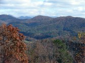 Enlarge photo 78