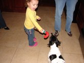Enlarge photo 6