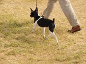 Enlarge photo 62