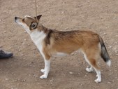 Enlarge photo 80