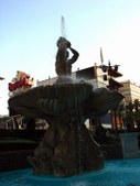 Enlarge photo 35