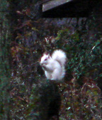 Enlarge photo 1