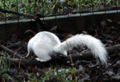 Enlarge photo 29