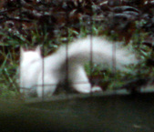 Enlarge photo 31