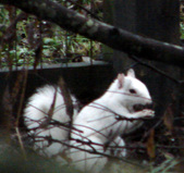 Enlarge photo 32