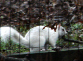 Enlarge photo 33
