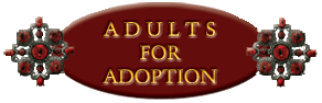 Adults for Adoption