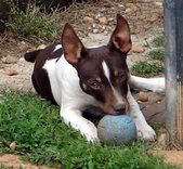 Enlarge photo 32