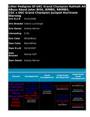 Enlarge PDF 6