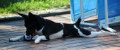 Enlarge photo 3
