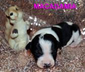 Enlarge photo 38