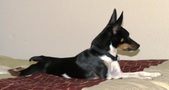 Enlarge photo 10