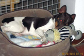 Enlarge photo 33