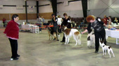 Enlarge photo 27