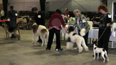 Enlarge photo 26