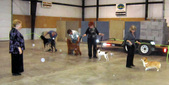 Enlarge photo 21