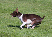 Enlarge photo 18