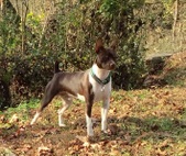 Enlarge photo 13