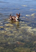 Enlarge photo 12