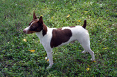 Enlarge photo 13