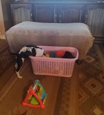 Enlarge photo 17