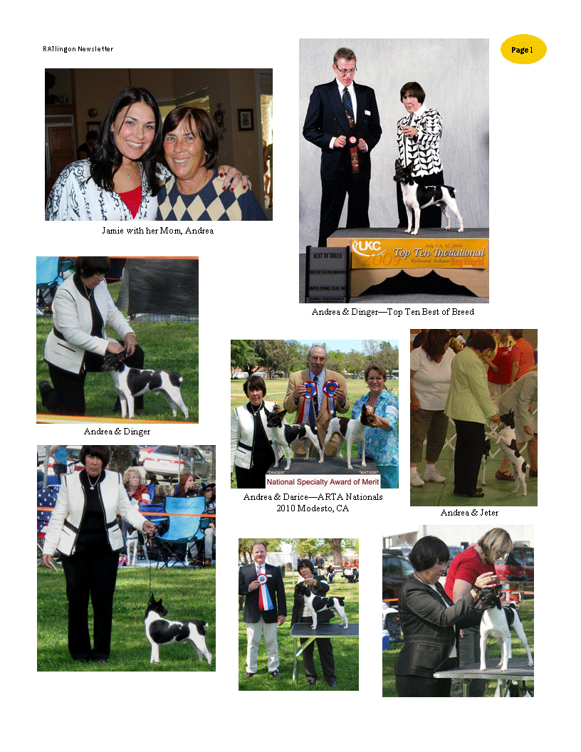 Enlarge photo 88