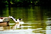 Enlarge photo 141